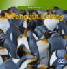 A_penguin_colony