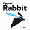 Yippee__Rabbit