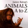 James_Balog_s_animals_A_to_Z