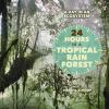 24_hours_in_a_tropical_rain_forest