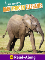 All_About_Baby_African_Elephants