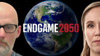 Endgame_2050