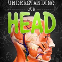 Understanding_our_head