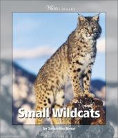 Small_wildcats