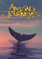 Amazing_Journeys