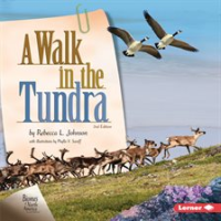 A_walk_in_the_tundra