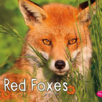 Red_foxes