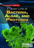 A_closer_look_at_bacteria__algae__and_protozoa