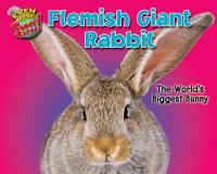 Flemish_giant_rabbit