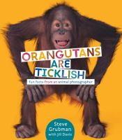 Orangutans_are_ticklish