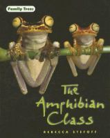 The_amphibian_class