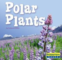 Polar_plants