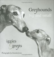 Greyhounds_big_and_small