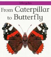 From_caterpillar_to_butterfly