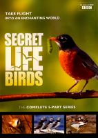 The_secret_life_of_birds