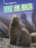 All_About_Baby_Sea_Lions