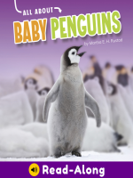 All_About_Baby_Penguins
