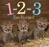 1-2-3_zooborns_