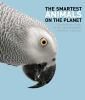 The_smartest_animals_on_the_planet