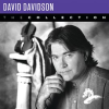 David_Davidson__The_Collection