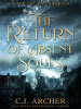 The_Return_of_Absent_Souls