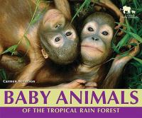 Baby_animals_of_the_tropical_rain_forest