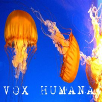 Vox_Humana