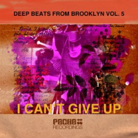 Deep_Beats_from_Brooklyn__Vol__5