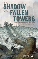 In_the_shadow_of_the_fallen_towers