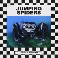 Jumping_spiders